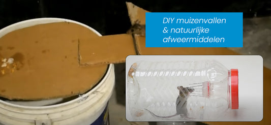 DIY muizenvallen & natuurlijke afweermiddelen