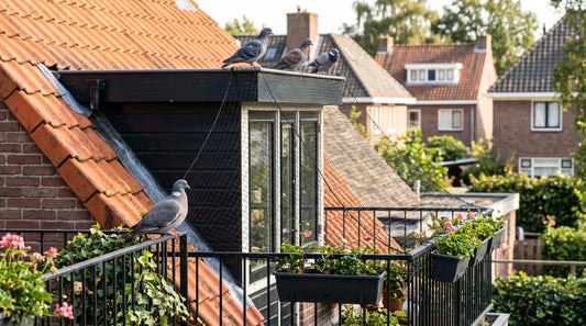 Welke netmontage voorkomt dat jonge duiven vast komen te zitten? — illustratie bij Altho Pest Control blogartikel over duivenbestrijding in een Nederlandse woning of tuin