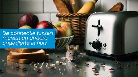 De connectie tussen muizen en andere ongedierte in huis