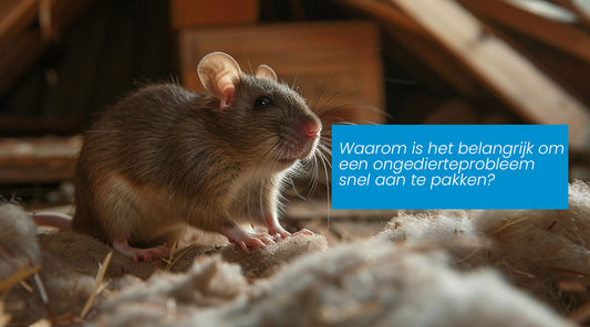 Waarom is het belangrijk om een ongedierteprobleem snel aan te pakken?