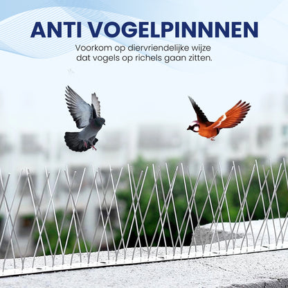 Altho Duivenpinnen schrikt vogels af