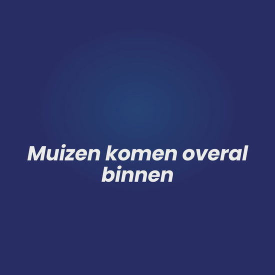 Altho RVS staalwol tegen muizen: productuitleg en stappen voor het afdichten van kieren