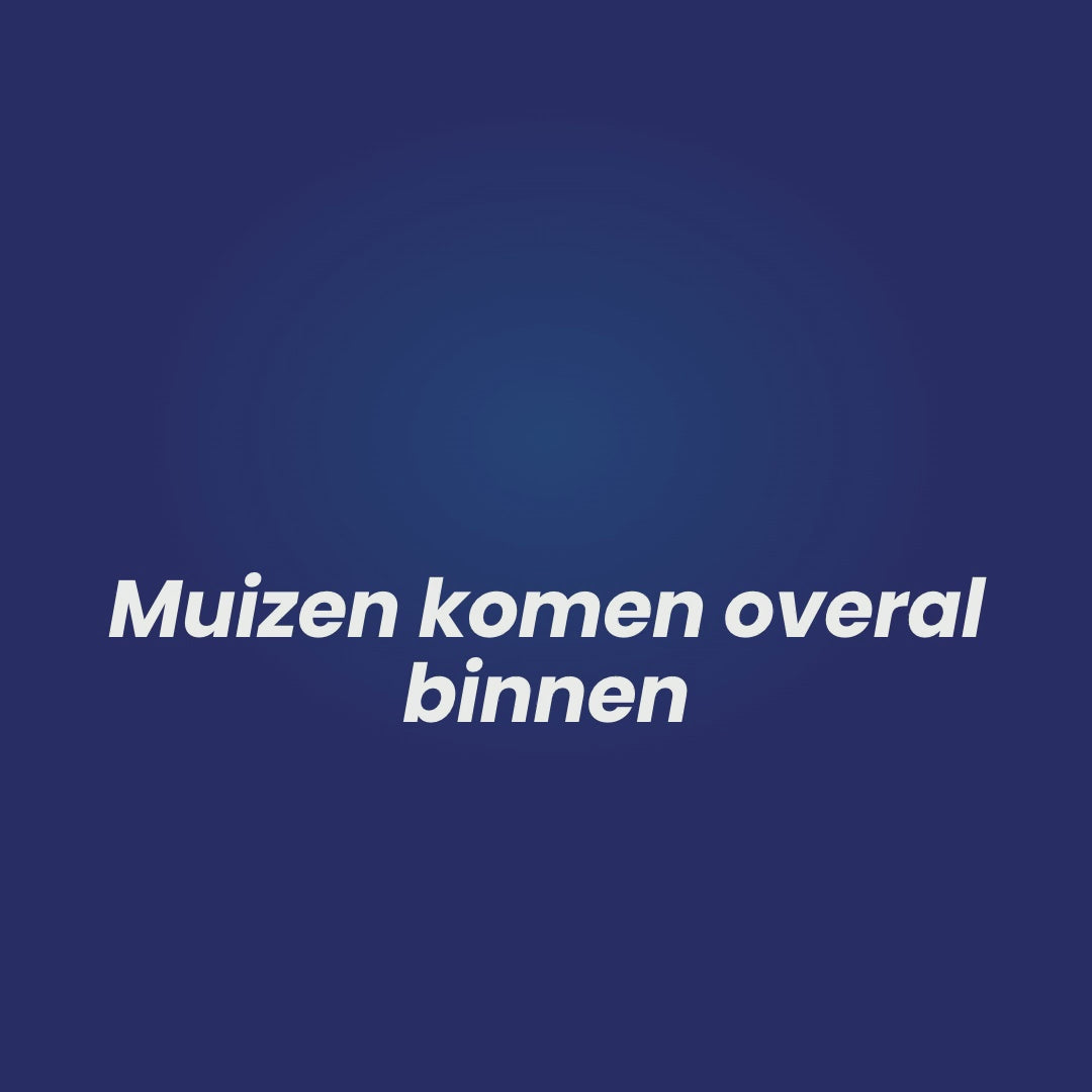 Altho RVS staalwol tegen muizen: productuitleg en stappen voor het afdichten van kieren